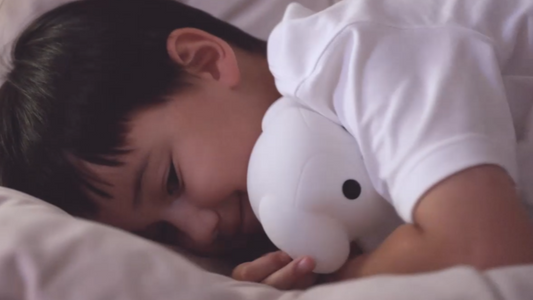 The Sleeping Pal Sleep Guide