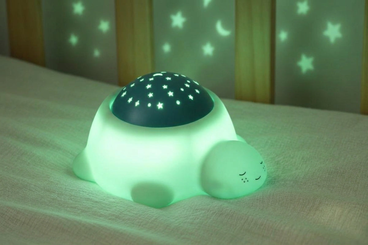 Pebble the Turtle