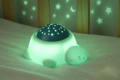 Pebble the Turtle