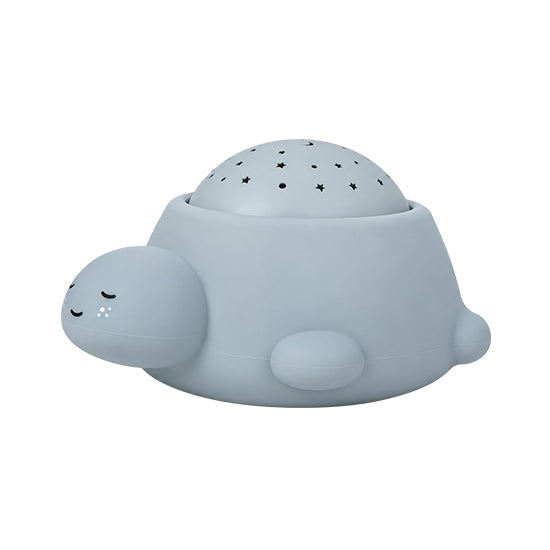 Pebble the Turtle