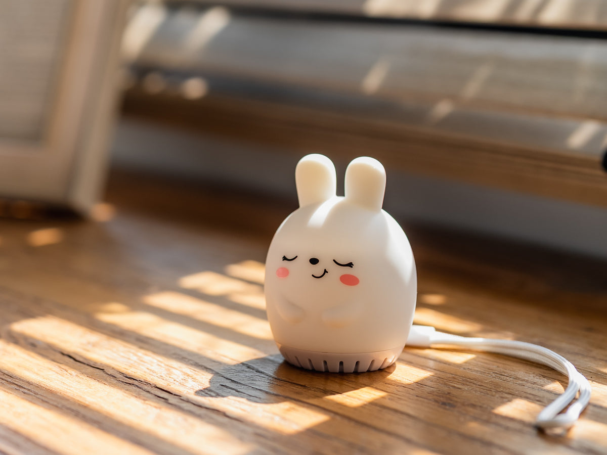 Bonnie the Bunny